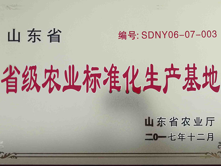 山東省省級農(nóng)業(yè)標(biāo)準(zhǔn)化生產(chǎn)基地